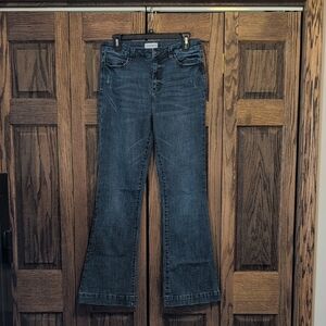 Studio Blue Katrina High Rise Flare Jean